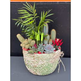 ÖZEL CANLI TERARYUM